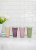 FRAÎCHE SMOOTHIE CUP BUNDLE